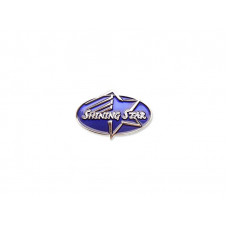 Shining Star Achievement Pin