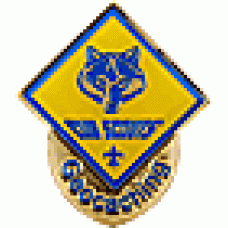 Cub Scouts Geopin - polished gold