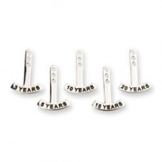 Year Danglers - 10 Years