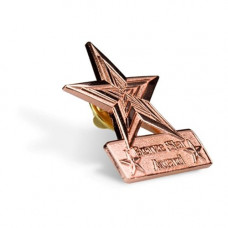 Bronze Star Award Lapel Pin