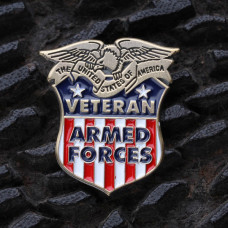 Multi-Service Veteran Pin