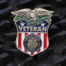Army Veteran Pin